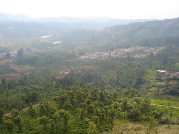 Beautiful landscape