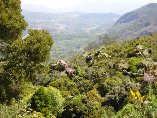 Hillocks